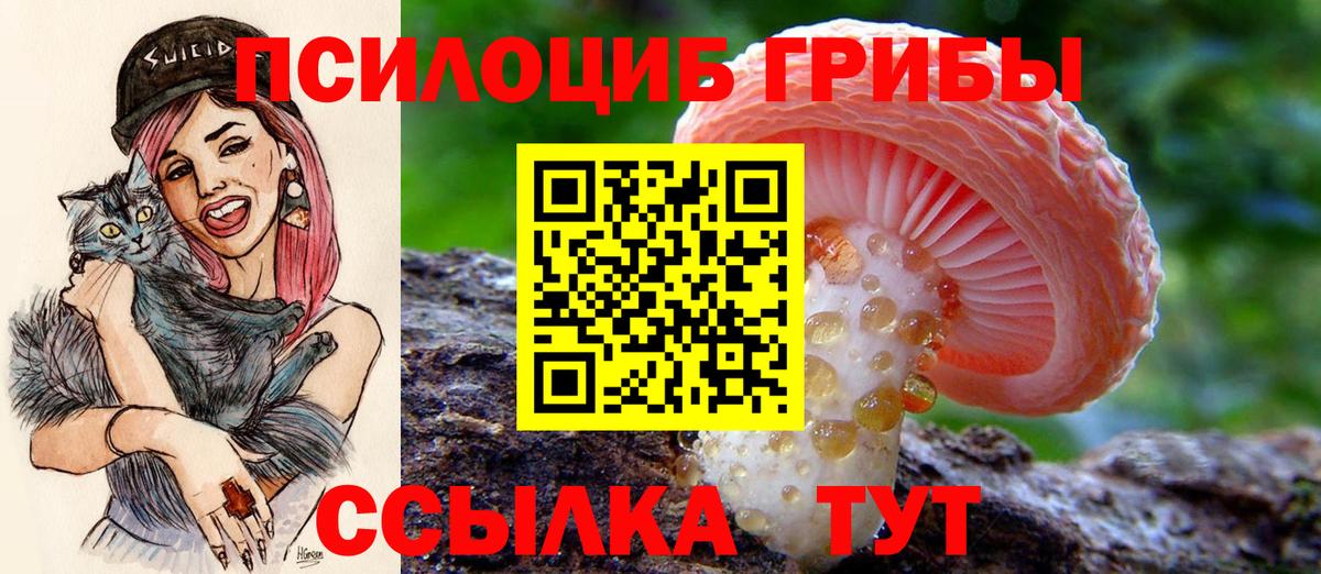 Кудрово  Псилоцибиновые грибы MAGIC MUSHROOMS  Вход с VPN 