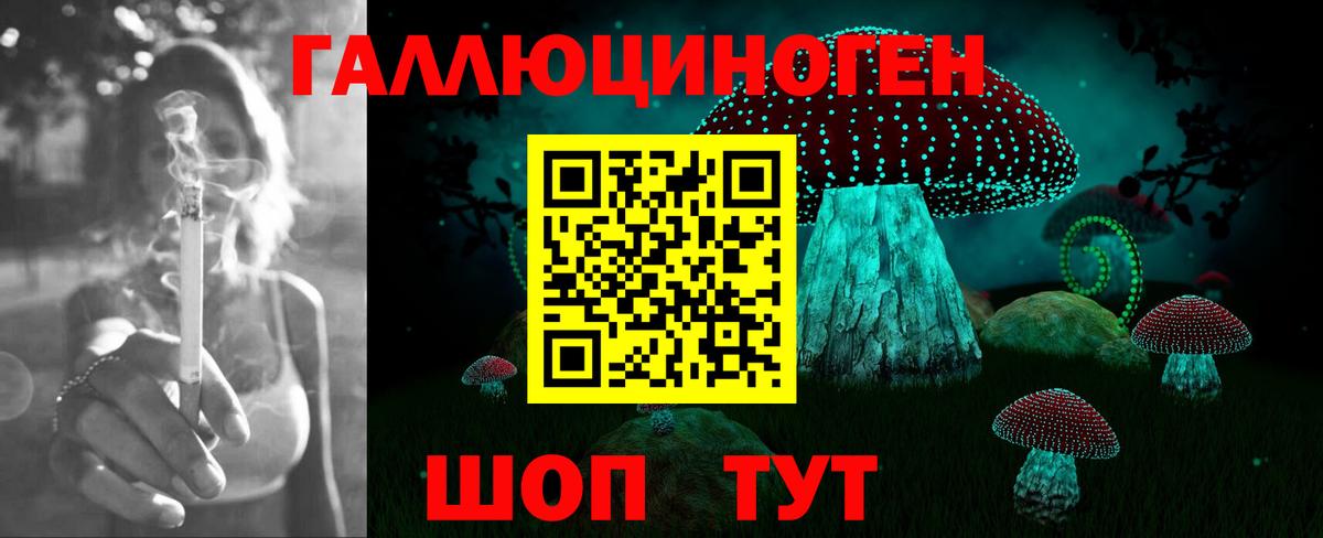 Галлюциногенные грибы прущие грибы Кудрово