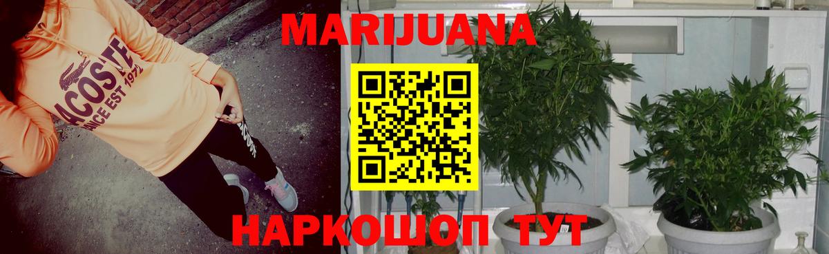 Каннабис марихуана  Бошки марихуана планчик  Канабис White Widow  Кудрово  Вход с VPN 